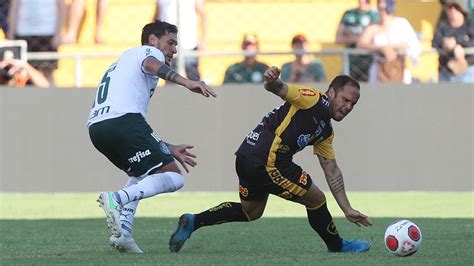 palmeiras x novorizontino ingressos